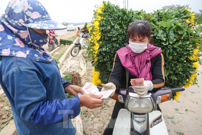 Rằm tháng Giêng, làng Tây Tựu lo 'sốt vó' vì hoa ế ẩm ảnh 8
