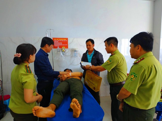 Áp lực giữ màu xanh đại ngàn ảnh 1