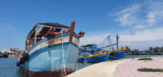 Biển của thời... cạn kiệt: Đâu rồi ngư phủ? ảnh 1