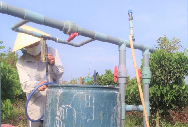 Lỗ một tỉ ngay lần đầu khởi nghiệp, cô gái 9x vùng biên kiên trì trồng ớt xuất khẩu ảnh 2