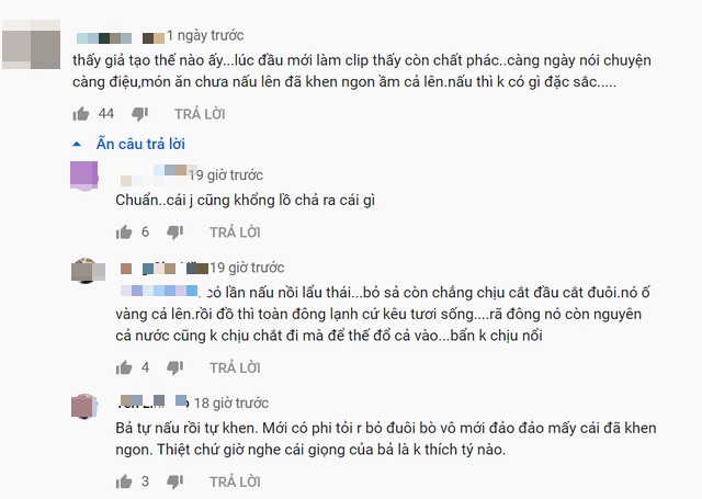Bà Tân Vlog bị dân mạng phản ứng gay gắt ảnh 3