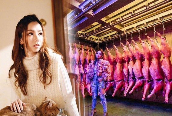 Showbiz 15/2: Quay MV trong lò mổ heo, nữ ca sĩ gây tranh cãi ảnh 1