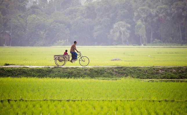 Đắm mình vào những bức ảnh xanh mát 'giải nhiệt' nắng hè ảnh 20