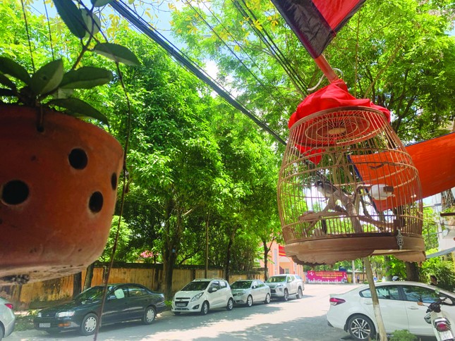 'Con chim lửa' ảnh 1