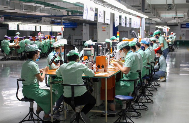 Kinh tế Ðà Nẵng đóng băng do dịch COVID-19 ảnh 1