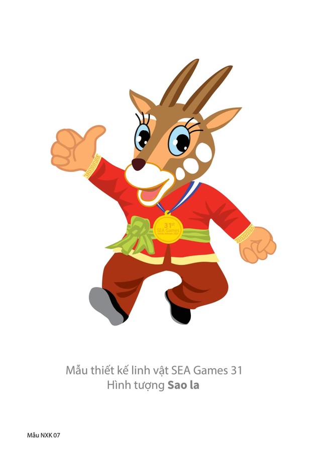 Tăng tốc cho SEA Games 31 ảnh 1