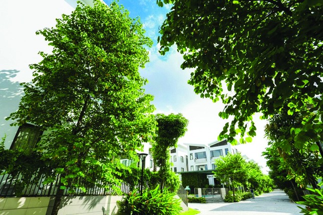 Cơ hội cuối sở hữu biệt thự phiên bản giới hạn Khai Sơn Hill ảnh 2