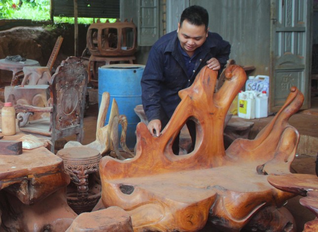 Gác bằng cử nhân, chàng trai làm giàu từ rễ và gốc cây bỏ đi ảnh 7