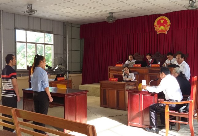 Nữ nhà báo ra giá 600 triệu để 'gỡ bài' lĩnh án 4 năm tù ảnh 3