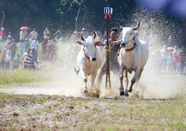 90 phi công hội dù lượn 'bay trên Phụng Hoàng Sơn' ảnh 7