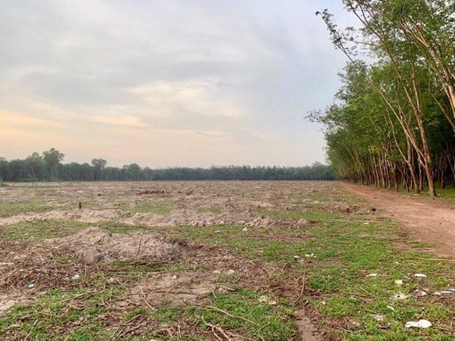 Chủ tịch TPHCM: 'Xử lý ông Lê Tấn Hùng thế nào thì để cơ quan điều tra làm tiếp' ảnh 4