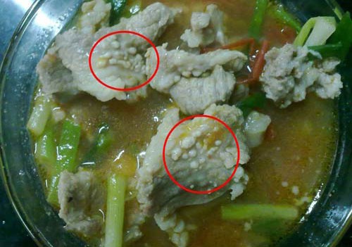 Sự thật nguy hiểm khi ăn thịt chó ảnh 2