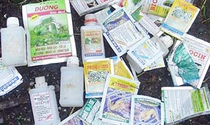 Hãi hùng rau “kích phọt” ảnh 1
