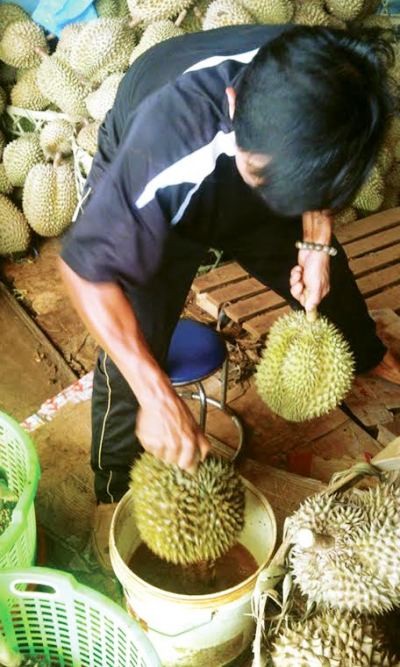 Truy tìm hóa chất cực độc giúp trái cây một tháng vẫn... tươi ảnh 1