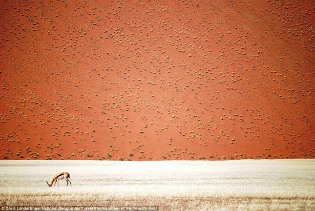 Thiên nhiên đẹp lặng người trong ảnh dự thi của National Geographic ảnh 10