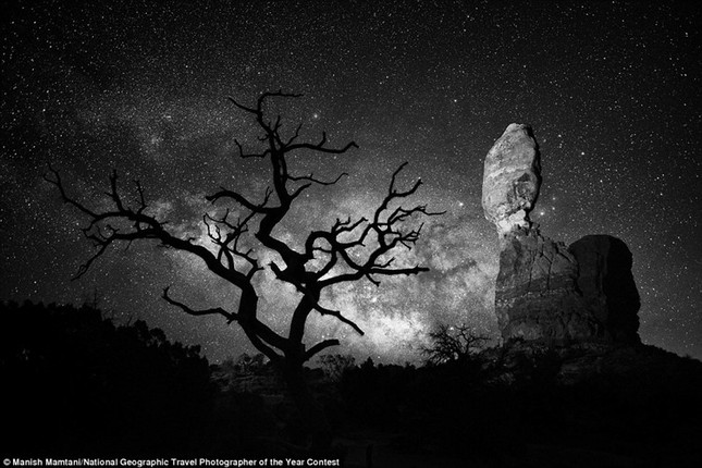 Thiên nhiên đẹp lặng người trong ảnh dự thi của National Geographic ảnh 11