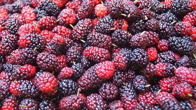 Lưu ý không thể quên khi ngâm siro dâu tằm ảnh 1