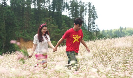 9X quỳ gối cầu hôn bạn gái giữa cánh đồng hoa tam giác mạch ảnh 3