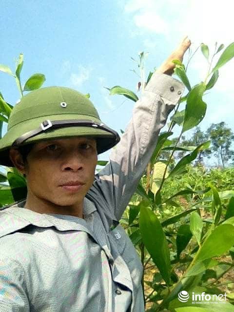 Tâm sự đẫm nước mắt của giáo viên 17 năm hợp đồng trước kỳ nghỉ Tết ảnh 1