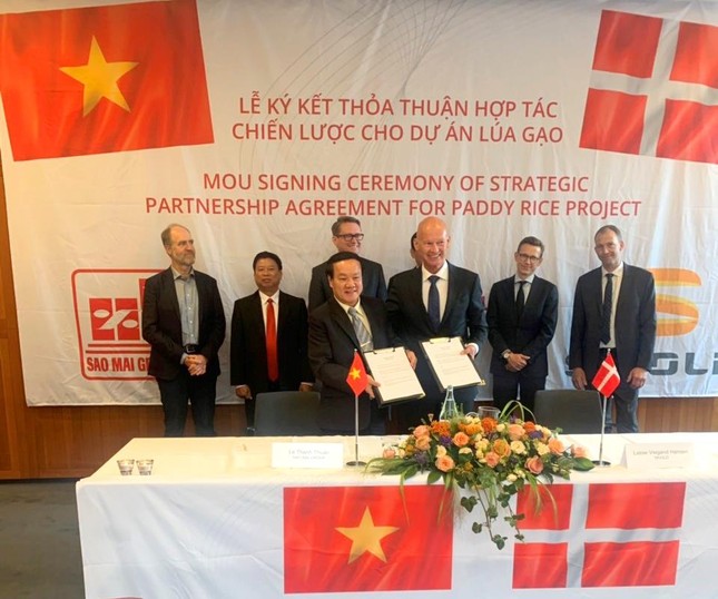 Tập đoàn Sao Mai ký thỏa thuận đầu tư chiến lược với SKIOLD ảnh 1