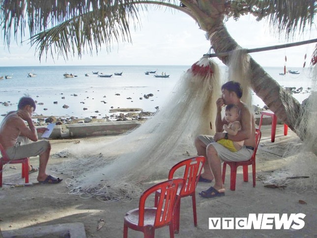 Kinh hãi những cuộc tàn sát rùa biển ở Cù Lao Chàm ảnh 3