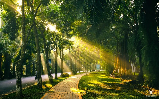 Khan hiếm nguồn cung: Biệt thự, liền kề vẫn sẽ là điểm sáng đầu tư 2020 ảnh 2