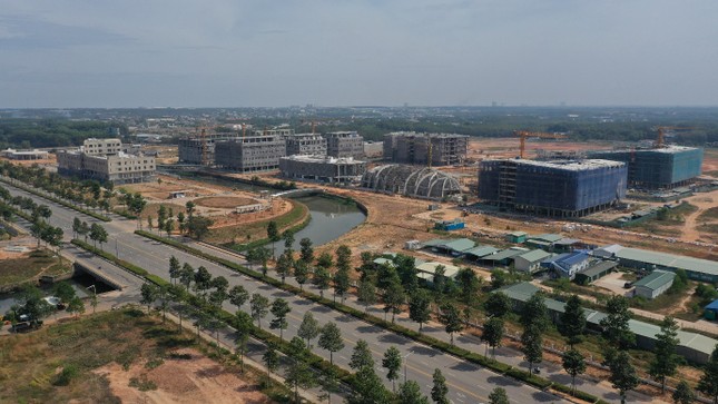 Sôi động phân khúc đất nền giá rẻ Bình Dương ảnh 1