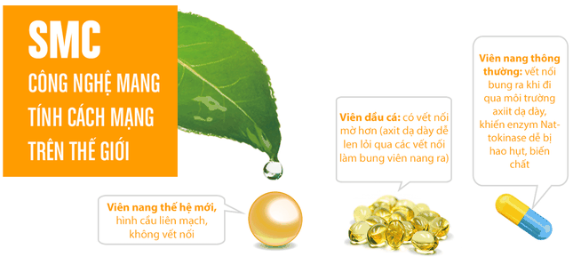 Bảo bối làm tan cục máu đông ngăn tai biến của người Nhật ảnh 2