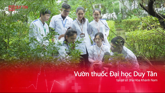 Sinh viên ngành Dược (Dược sĩ Đại học): Rộng mở cơ hội việc làm ảnh 3