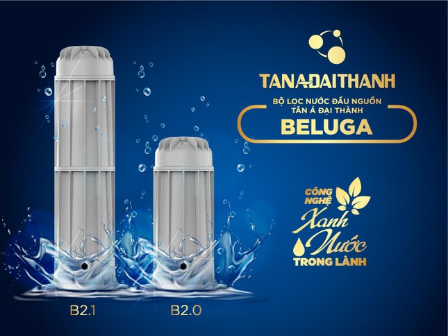 Bộ lọc nước đầu nguồn Tân Á Đại Thành Beluga - giải pháp hoàn hảo cho nguồn nước sinh hoạt ảnh 3