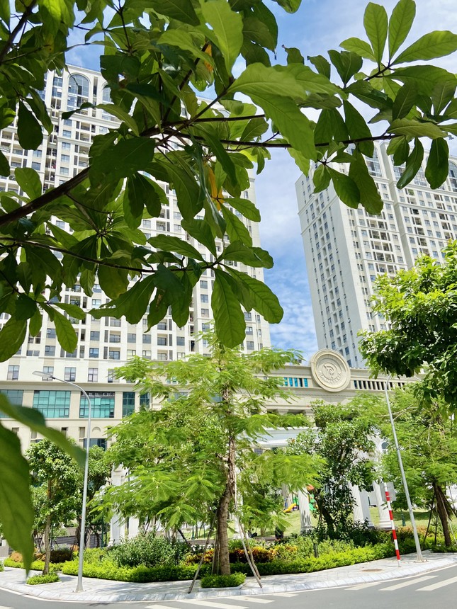 Tập đoàn Hải Phát bàn giao sổ đỏ căn hộ đầu tiên cho cư dân Roman Plaza ảnh 2
