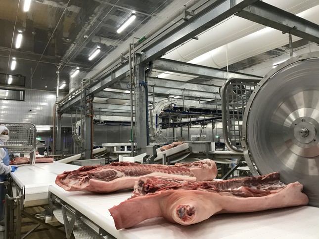 Masan đưa Tổ hợp chế biến thịt mát MEATDeli Sài Gòn vào vận hành từ tháng 10/2020 ảnh 1