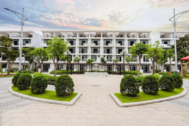 Quý IV/2020: Kênh đầu tư không ngừng “hạ nhiệt” nhưng an toàn đặt lên hàng đầu ảnh 1