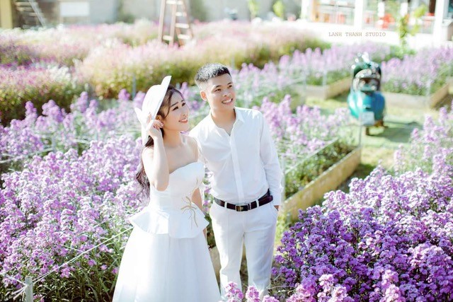 Rộn ràng mùa cúc hoạ mi giữa lòng thành phố Thanh Hoá ảnh 5