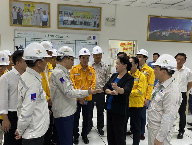 Đoàn công tác Trung ương làm việc ở miền Tây Nam bộ ảnh 1