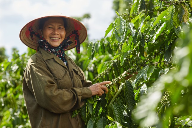 Hợp tác thúc đẩy bình đẳng giới và quyền năng phụ nữ ảnh 2