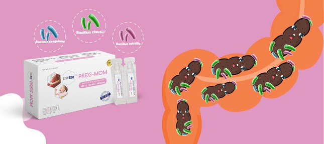 LiveSpo Preg-Mom, men vi sinh giúp bé có một hệ vi sinh đường ruột khỏe mạnh ảnh 1