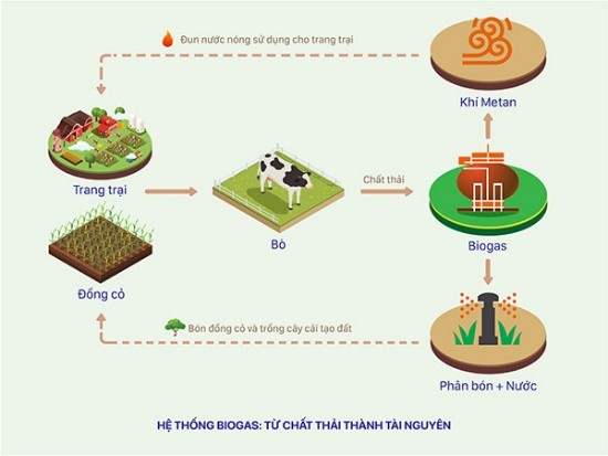 Vinamilk vững vàng vị trí dẫn đầu top 100 doanh nghiệp bền vững Việt Nam năm 2020 ảnh 1