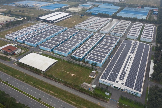 KTG Energy phân phối pin năng lượng mặt trời Longi ảnh 1