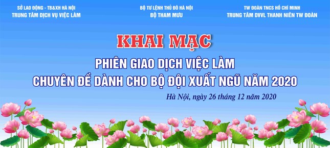 Phiên giao dịch việc làm dành cho bộ đội xuất ngũ năm 2020 ảnh 1