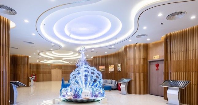 Hàng nghìn khách hàng háo hức tham quan căn hộ mẫu dòng Ruby của Vinhomes lần đầu ra mắt ảnh 3