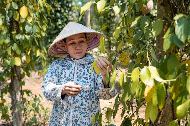 Tin vui nước sạch về với bà con Quảng Trị ảnh 1