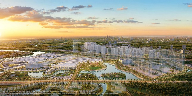 Nhìn lại thị trường bất động sản 2020: Vượt bão nhờ những người dẫn đường ảnh 1