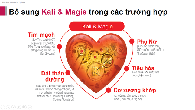 Vai trò và khuyến cáo bổ sung Kali và Magnesi cho cơ thể khỏe mạnh ảnh 2