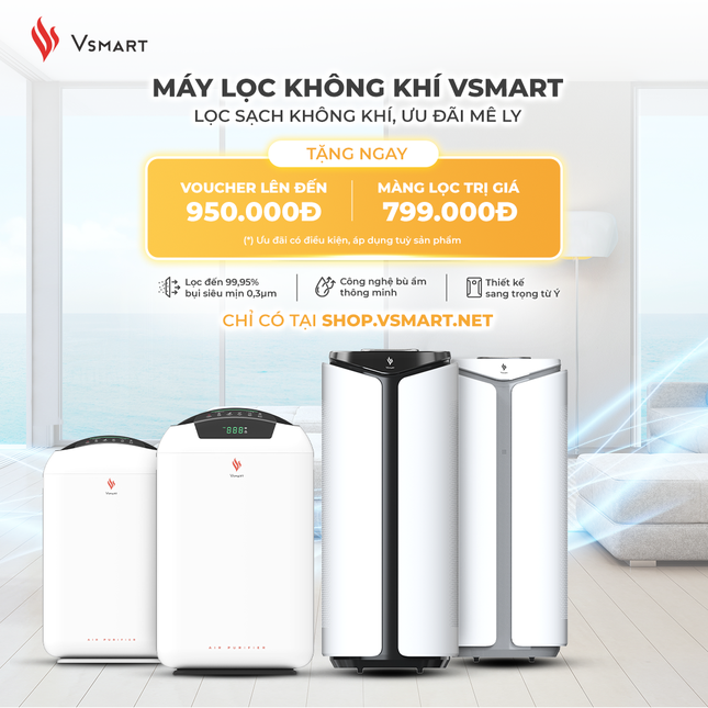 Máy lọc không khí là 'cứu cánh' của gia đình Việt? ảnh 1