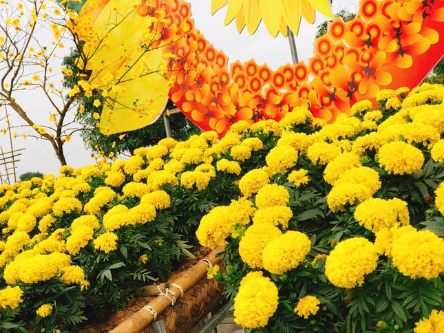 Nghệ An: Trẩy hội hoa xuân và nghỉ dưỡng với ưu đãi hấp dẫn tại Khu du lịch sinh thái Mường Thanh Diễn Lâm ảnh 2