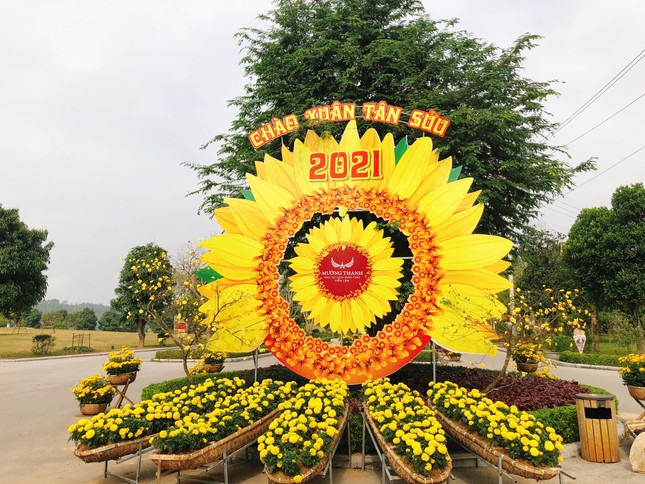 Nghệ An: Trẩy hội hoa xuân và nghỉ dưỡng với ưu đãi hấp dẫn tại Khu du lịch sinh thái Mường Thanh Diễn Lâm ảnh 1