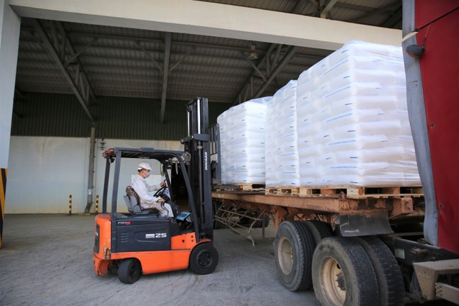 BSR sản xuất và xuất bán sản phẩm hạt nhựa mới T3045 ảnh 1