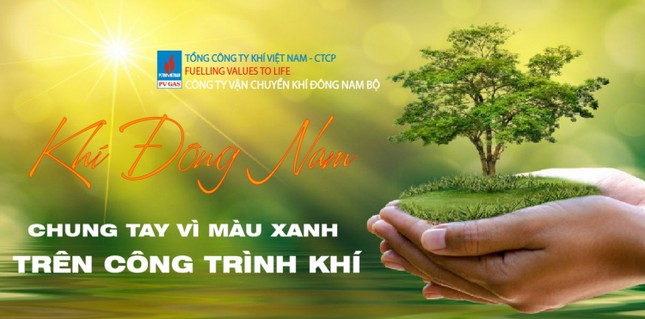 KĐN tiếp tục Chương trình trồng cây năm 2021 tại Bà Rịa ảnh 4
