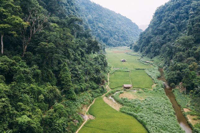 Giải chạy siêu địa hình ba bể Jungle Marathon 2021 ảnh 1